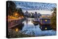 Stretched Canvas Print