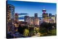 Stretched Canvas Print
