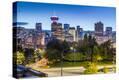 Stretched Canvas Print
