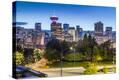 Stretched Canvas Print