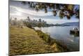 Photographic Print