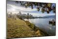 Photographic Print