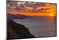 Photographic Print