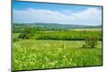 Premium Photographic Print