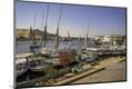 Premium Photographic Print