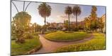 Photographic Print