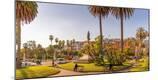 Photographic Print