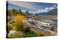Stretched Canvas Print