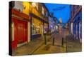 Stretched Canvas Print