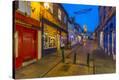 Stretched Canvas Print