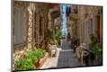 Premium Photographic Print