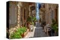 Stretched Canvas Print