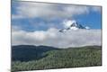 Photographic Print