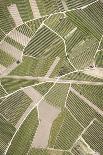 Nature, Landscape, Val Sulgana, Railway, Aerial Shot, Meadow, Fields, Way, Wine-Growing, Summer-Frank Fleischmann-Framed Photographic Print