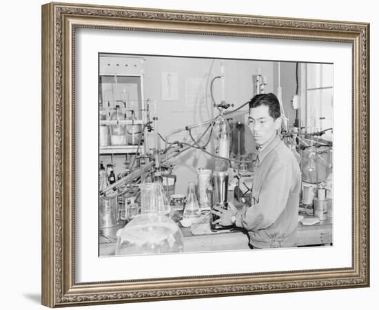 Frank Hirosama in laboratory at Manzanar, 1943-Ansel Adams-Framed Photographic Print