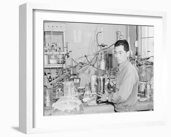 Frank Hirosama in laboratory at Manzanar, 1943-Ansel Adams-Framed Photographic Print