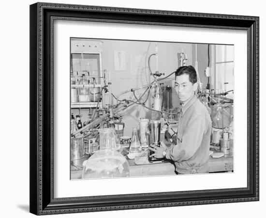 Frank Hirosama in laboratory at Manzanar, 1943-Ansel Adams-Framed Photographic Print