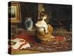 Stretched Canvas Print
