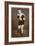 Frank Hough, British Boxer, 1938-null-Framed Giclee Print