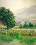 Morning Mist-Frank Janca-Mounted Giclee Print