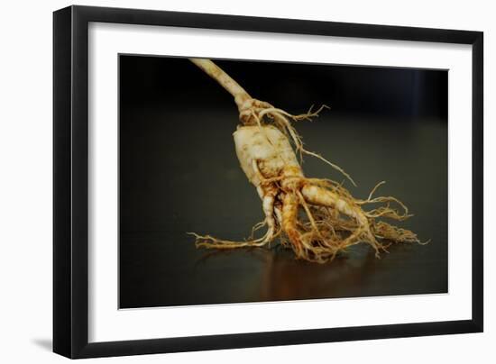 Photo, , large