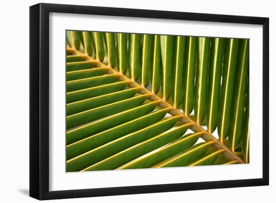 Photo, , large