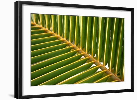 Photo, , large