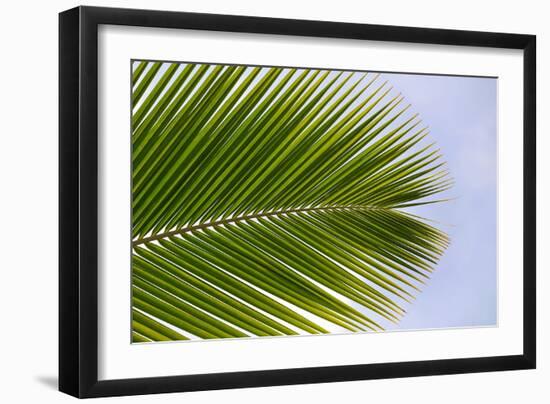 Photo, , large