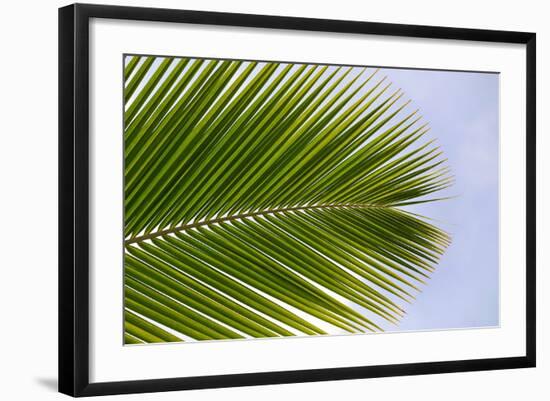 Photo, , large