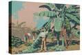 Stretched Canvas Print
