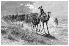 Camels Carrying Wool, 1886-Frank P Mahony-Giclee Print