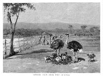 Native Troopers Dispersing a Camp, Australia, 1886-Frank P Mahony-Giclee Print