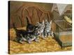 Stretched Canvas Print
