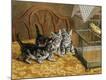 Premium Giclee Print