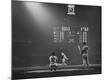 Premium Photographic Print