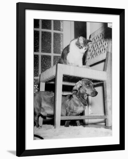 Photographic Print, , large