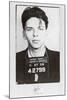 Frank Sinatra-Mugshot-null-Mounted Art Print