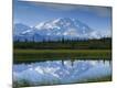 Premium Photographic Print
