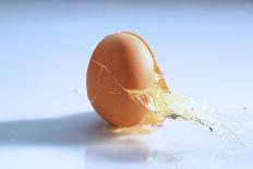 A Cracked Egg-Frank Weymann-Premier Image Canvas