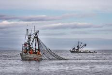 USA, Alaska, Kodiak, Chiniak Bay. Commercial fishing for salmon.-Frank Zurey-Photographic Print