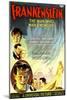 Frankenstein, Dwight Frye, John Boles, Mae Clarke, Boris Karloff, Edward Van Sloan, 1931-null-Mounted Art Print