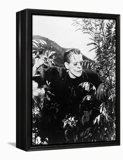 Frankenstein: Frankenstein, 1931-null-Framed Premier Image Canvas