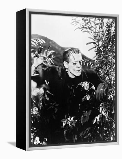 Frankenstein: Frankenstein, 1931-null-Framed Premier Image Canvas