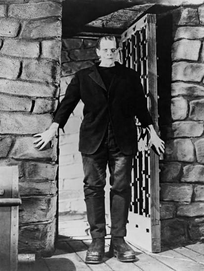 Photographic Print, , large