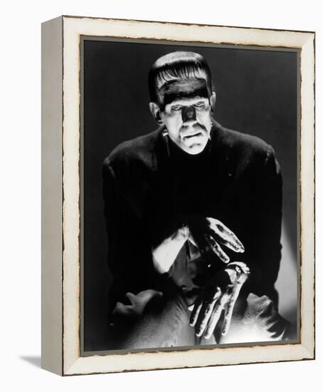 Frankenstein-null-Framed Stretched Canvas