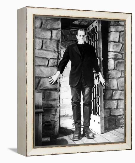 Frankenstein-null-Framed Stretched Canvas