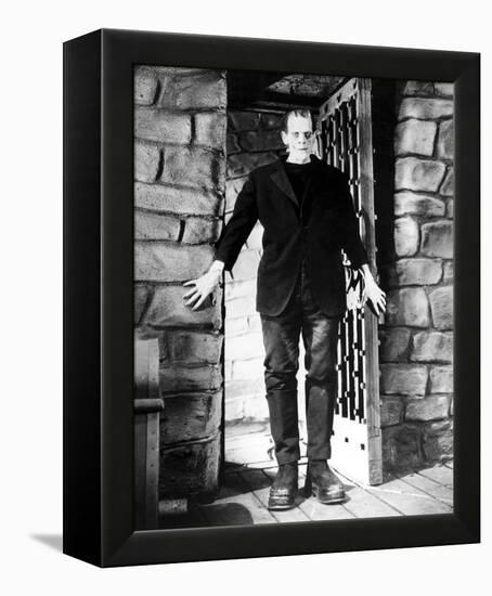 Frankenstein-null-Framed Stretched Canvas