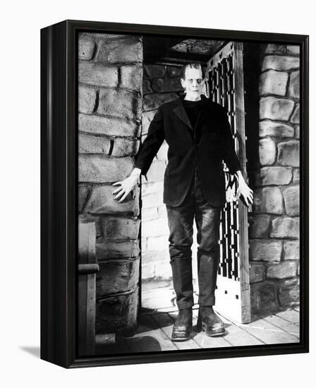 Frankenstein-null-Framed Stretched Canvas