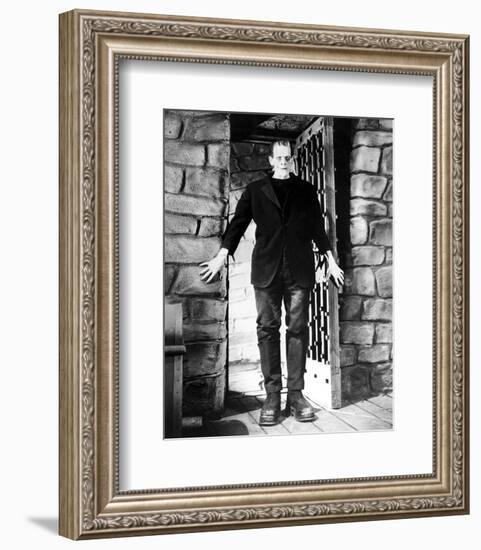 Frankenstein-null-Framed Photo