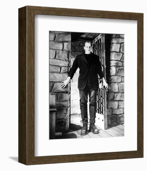 Frankenstein-null-Framed Photo